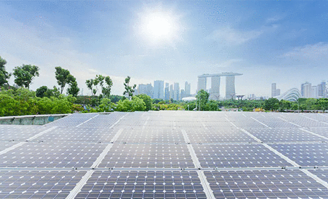 생태발자국 관리