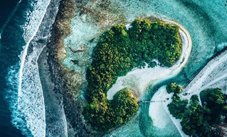 기후 문제에 적극적으로 참여하는 보험사, AXA