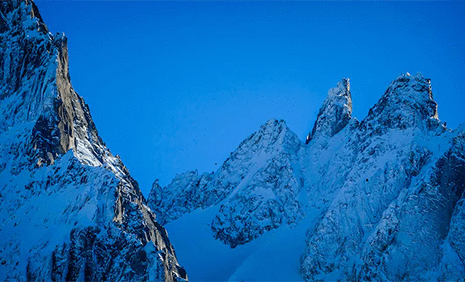 AXA 목표 달성 지표