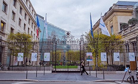 파트너십 및 멤버십